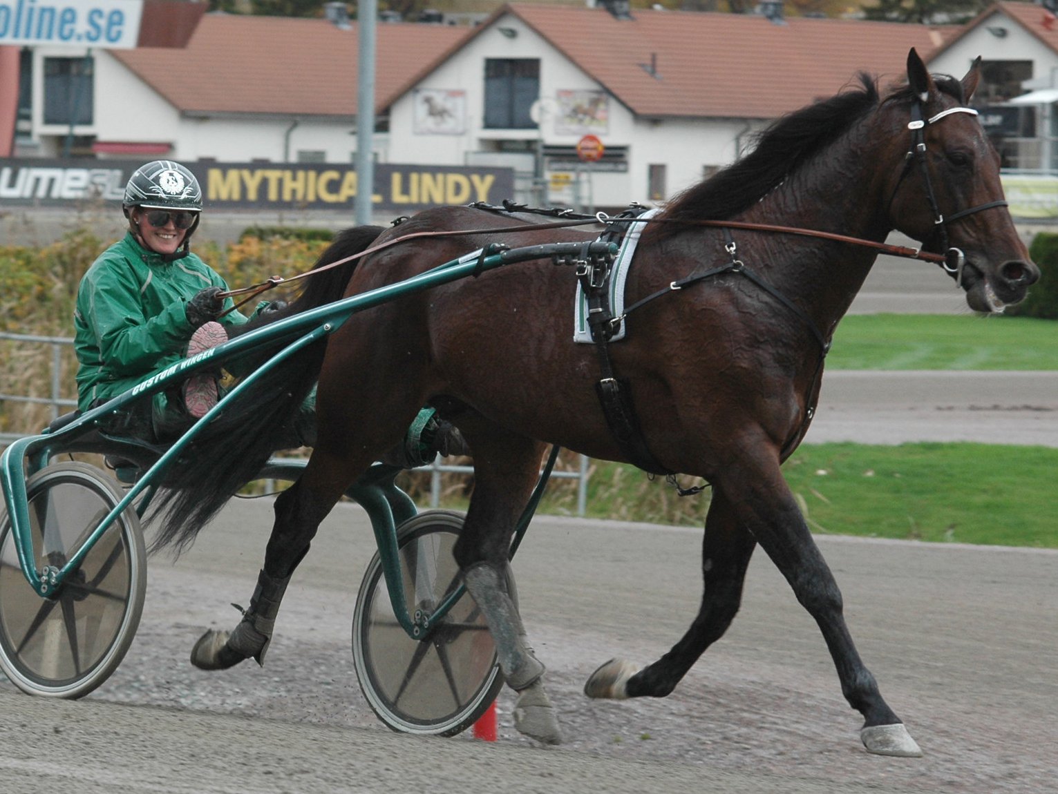 Lisa i sulkyn bakom Maharajah. Foto; A.Lindblom